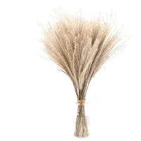 Unyqoos 50er-Set getrocknetes Deko-Gras – 100% natürliches, trales Ziergras für Vase, Wohnzimmer, Schlafzimmer & Hochzeit