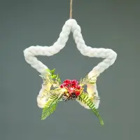 ACA Müller/ADAG Pharma ACA Beleuchteter Weihnachtsstern zum Aufhängen, 10 LEDs, warmweiß, batteriebetrieben (2xAA), 30 cm lang, Schutzart IP20, 0,3 m Kabel, X05101128