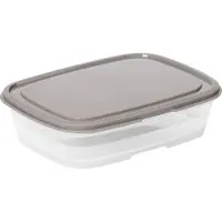 Smartstore Frischhaltebox 0,8 Liter grau / transparent