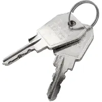 Inter Pack Carver-Schlüssel 25058 (2 Stück)