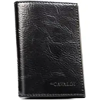 Cavaldi Dokumentenkoffer EKOF18-PAL50 7979 SCHWARZ