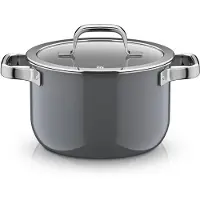 WMF FT Mineral Pro Pots Fusiontec Mineral Pro, Kochtopf mit Deckel, 20 cm, Platinum Platinum grau