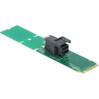 DeLOCK Adapter M.2 Key M zu SFF-8643 NVMe 22110 / 2280 / 2260, M.2, SFF-8643, Grün, Karton mit Aufhänger