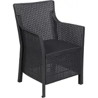vidaXL Sessel Anthrazit PP