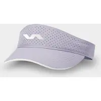 Varlion Coorporate Visier
