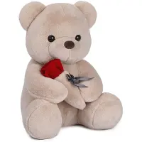 Azomor Weicher Plüschbär mit Rosenmuster für Kinder und Erwachsene