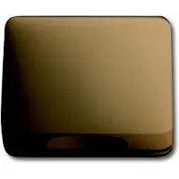ABB Busch-Jaeger Bronze-Übergangsplatte 50x50mm 1746-21-101 - 2CKA001753A5986