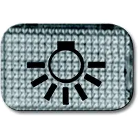 ABB Busch-Jaeger 2145 LI Symbol Lichtobjektiv Lampe Transparent - 2CKA001714A0211 [5 Stück]