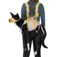 Ruffwear BackTrak Evakuierungsset für Hunde Cloudburst Gray Large