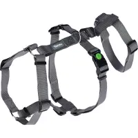 Kerbl Miami Hundegeschirr Grau 20 mm x 48-70 cm Grau 20 mm x 48-70 cm
