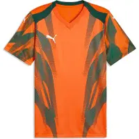 Puma teamFINAL Graphic+ Jersey