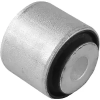 TEDGUM 00138256 Hintere Querlenkerbuchse Chrysler 300C, Pacifica