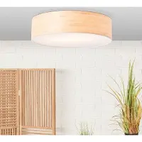 OEM Naturinspirierter Wohnzimmerteichner mit Dimmfunktion - Dekoratives Badezimmerlicht mit 2x E27 - Durchmesser 38cm