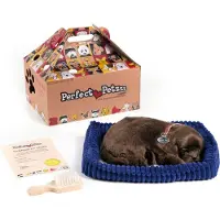Merkloos Perfect Petzzz Soft Chocolate Labrador