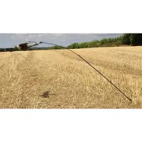 Mjoelner Hunting Taubenkolben Golden Golden One Size