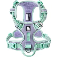 TrueLove EasyWalk Front Line Premium Cordura Hundegeschirr Lila-Mint S