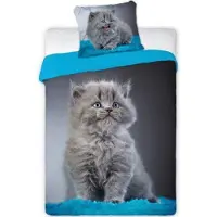 Faro Bettwäsche, 100% Baumwolle, Jugend, Tiere 140x200cm Katze 010
