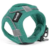 Gloria Hundegeschirr Trek Star 24-26 cm 28-28,6 cm türkis XXS