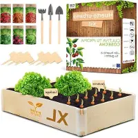 Markenlos Erhöhtes Pflanzbeet für Garten und Balkon XL