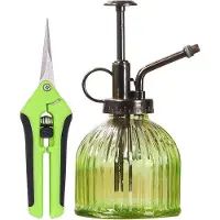 OEM Echtes Alte Glas-Wasserduscher mit Wasserreiniger und Handschutz