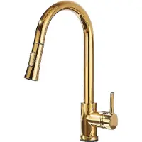 OEM Küchenarmatur, Ausziehbare Sprühfunktion, Einhebelsteuerung, Goldene