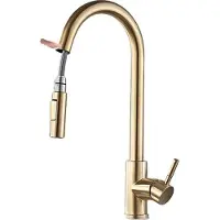 OEM Küchenarmatur, Ausziehbare Sprühfunktion, Zeitgenössisches Design, Bürsteter Goldsensor