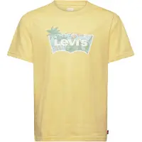 Levi's LVB High Tide Batwing T-Shirt, Raffia, 152