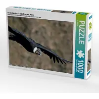 CALVENDO Andenkondor, Colca Canyon, Peru 1000 Teile Puzzle quer 640x480mm, viaje.ch ; 7449685