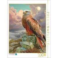 CALVENDO Puzzle Greifvögel | 1000 Teile Lege-Größe 64 × 48 cm Foto-Puzzle für glückliche Stunden