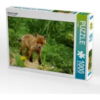CALVENDO Kleiner Fuchs 1000 Teile Puzzle quer 640x480mm, Klapp Lutz; 7455308