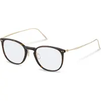 Rodenstock R7136 Dark havana, gold 54/21/145 Herren Brillen