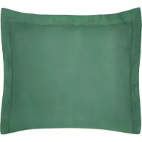 Eurofirany 372593, Grün, Baumwolle, Einfarbig, 115 g/m², 70 x 80 cm, 290 g