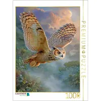 CALVENDO Puzzle Greifvögel | 1000 Teile Lege-Größe 64 × 48 cm Foto-Puzzle für glückliche Stunden
