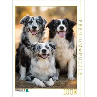 CALVENDO Puzzle Family – Das Gesamtbild | 1000 Teile, fertige Größe: 64 x 48 cm | Fotopuzzle für entspannte Stunden