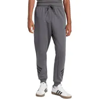 Adidas M Jogginghose FI 3S PT Grau Grau M