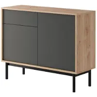 Feldmann-Wohnen Sideboard Basic Kommode 104x39x84cm 2-türig Jackson Hickory / graphit