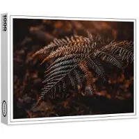 Raxxa Premium-Puzzle "Farn", 1000 Teile