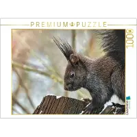 CALVENDO Puzzle: Brauner Eichhörnchen | 1000 Teile, fertige Größe: 64 x 48 cm | Fotopuzzle für entspannte Stunden