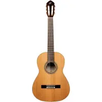 Ortega R20GWN - Konzertgitarre