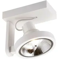 Zumaline Spotlight MASTER 111 SL ACGU10-180-N