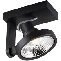 Zumaline Spotlight MASTER 111 SL ACGU10-181-N