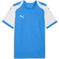 Puma Herren Trikot teamFINAL26 Knit Jersey 706651-02 L - Electro Royal-White - L