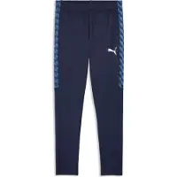 Puma Trainingshose TeamLiga26