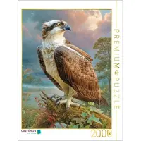CALVENDO Puzzle Raubvögel | 2000 Teile Lege-Größe 90 × 67 cm Foto-Puzzle für glückliche Stunden