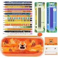 OEM Kawaii Etui - 2-Kompartimenten mit Stifthalter, auswischbare Gummipen, Ritsverschluss, für Schule und Büro, 23 x 11 x 5 cm, Tigerfarbe