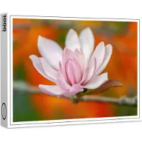 Raxxa Premium-Puzzle "Magnolienkopf", 1000 Teile
