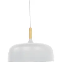 Luxula LED Pendelleuchte 60 W schwarz