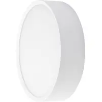 Brumberg LED-Außenwandlampe EYE offen, weiß, CCT, IP65