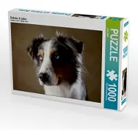 CALVENDO Dakota, 9 Jahre 1000 Teile Puzzle quer 640x480mm, Behr Jana; 7346860