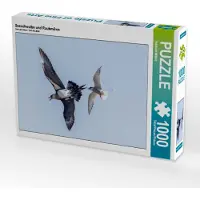 CALVENDO Seeschwalbe und Raubmöwe 1000 Teile Puzzle quer 640x480mm, Wittich Reinhold; 7457748